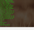 How to install the latest software updates Ubuntu 13.04