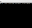 Google page speed module nginx delete cache
