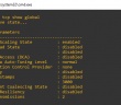 TCP Auto-tuning slow network performance