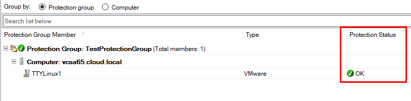 Checking-the-protection-status-of-the-new-Data-Protection-Group