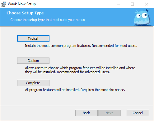 Choosing-the-setup-type-of-Wayk-Now