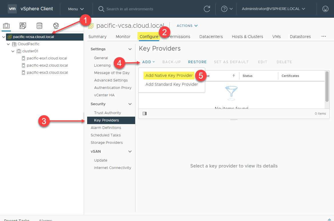 Add native key provider in vsphere 7.0 update 2