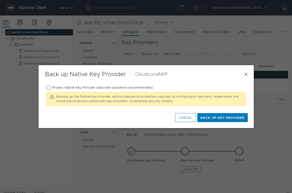 Backup the native key provider and choose password protection