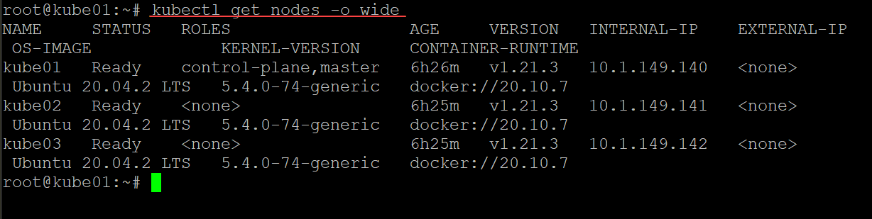 Using the kubectl get nodes command to view nodes in the Kubernetes cluster