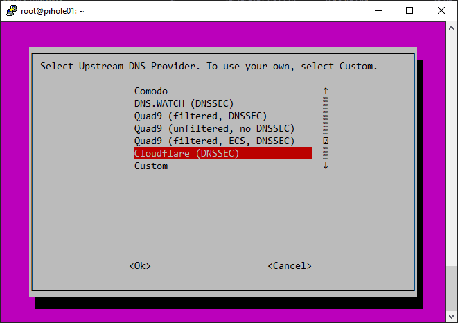 Select your upstream DNS provider