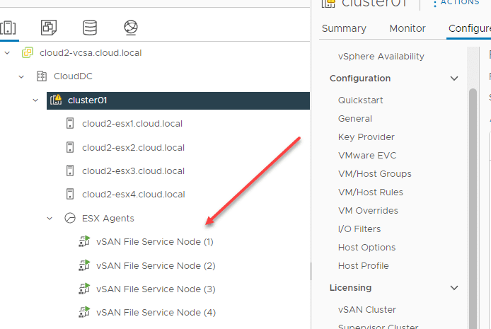 Specialized ESX agent File Service VMs that expose storage protocol endpoints for vSAN file shares with vSAN File Service
