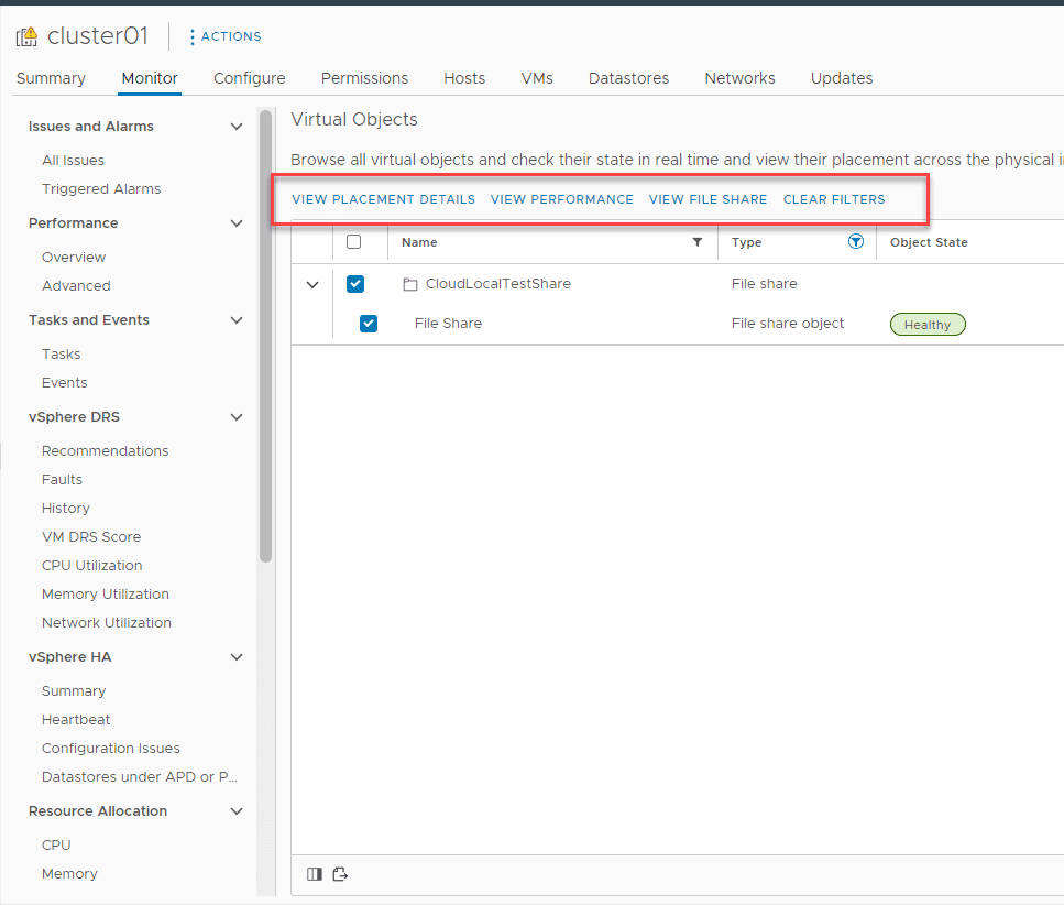 Viewing the vSAN File Share