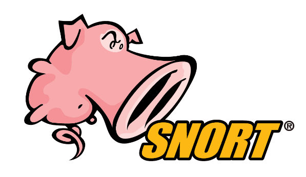 Snort ids ips solution