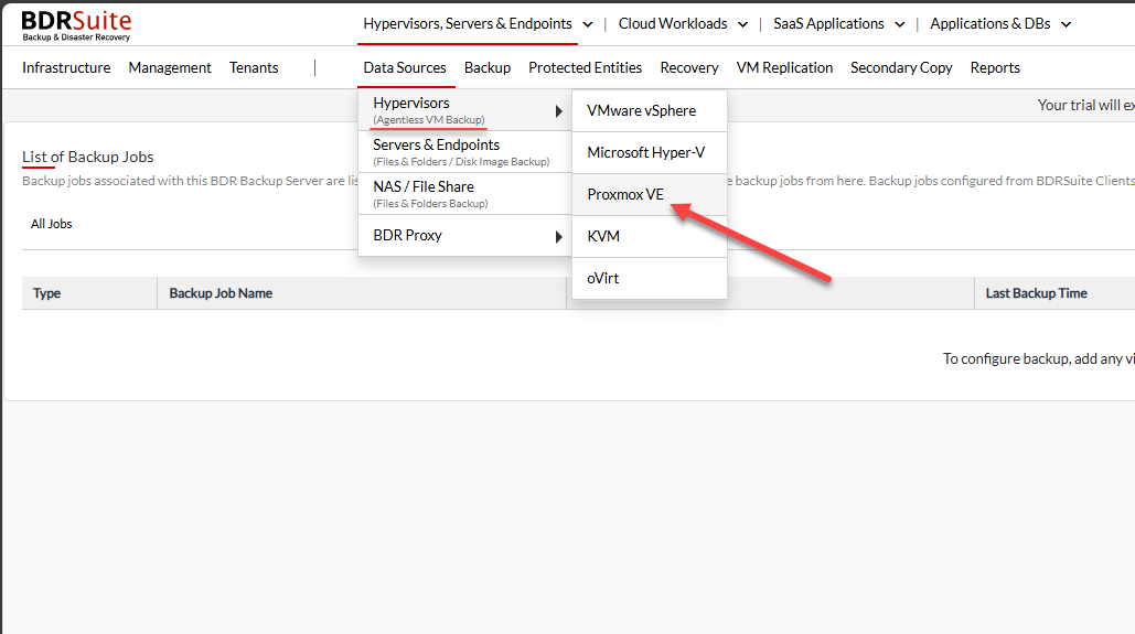 Bdrsuite 7.1 now backs up proxmox ve server