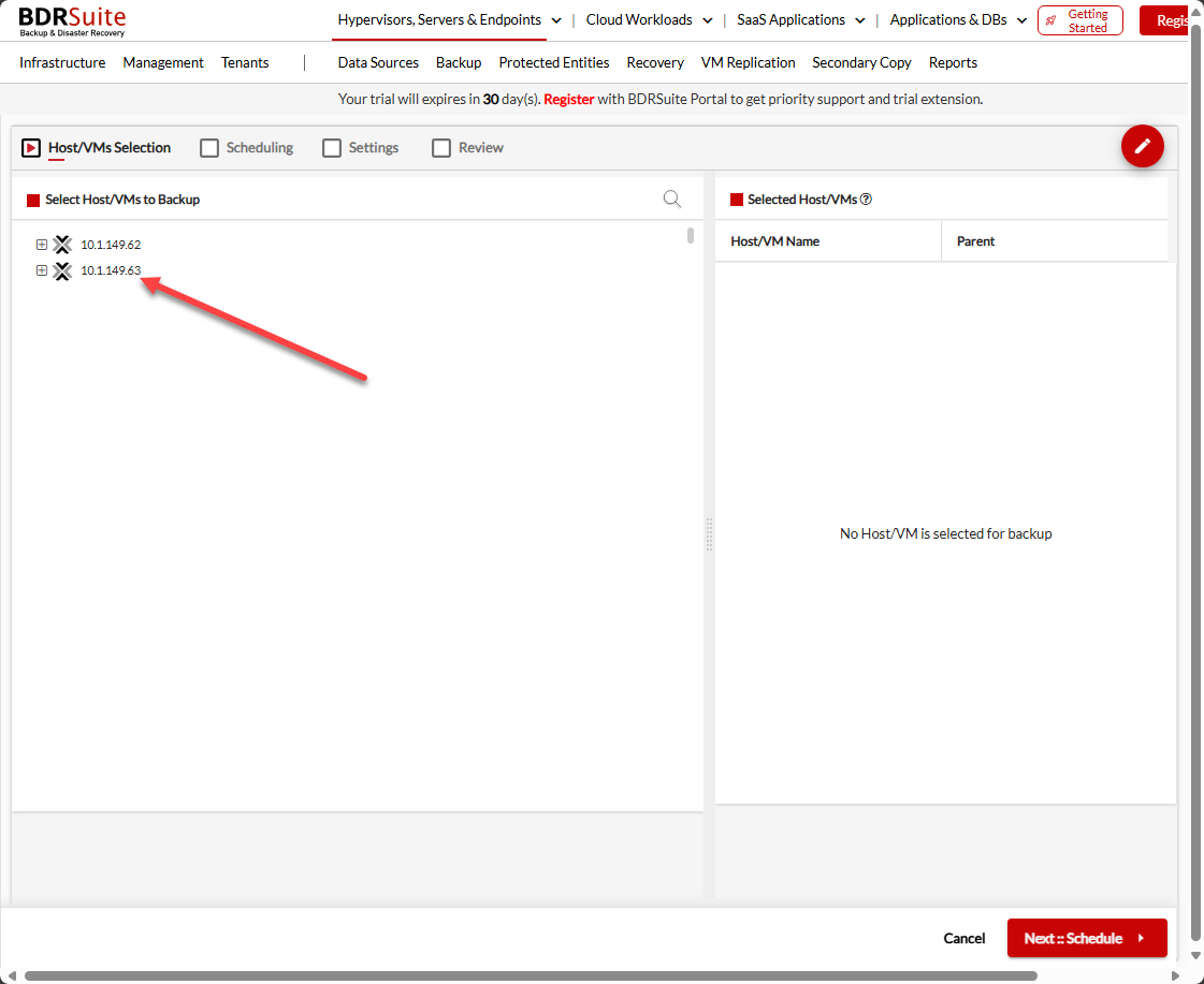 Choose your host and vms to backup