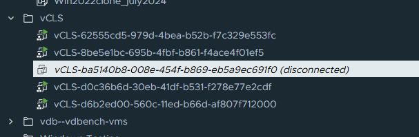 A vcls virtual machine is showing in inventory as inaccessible on that datastore