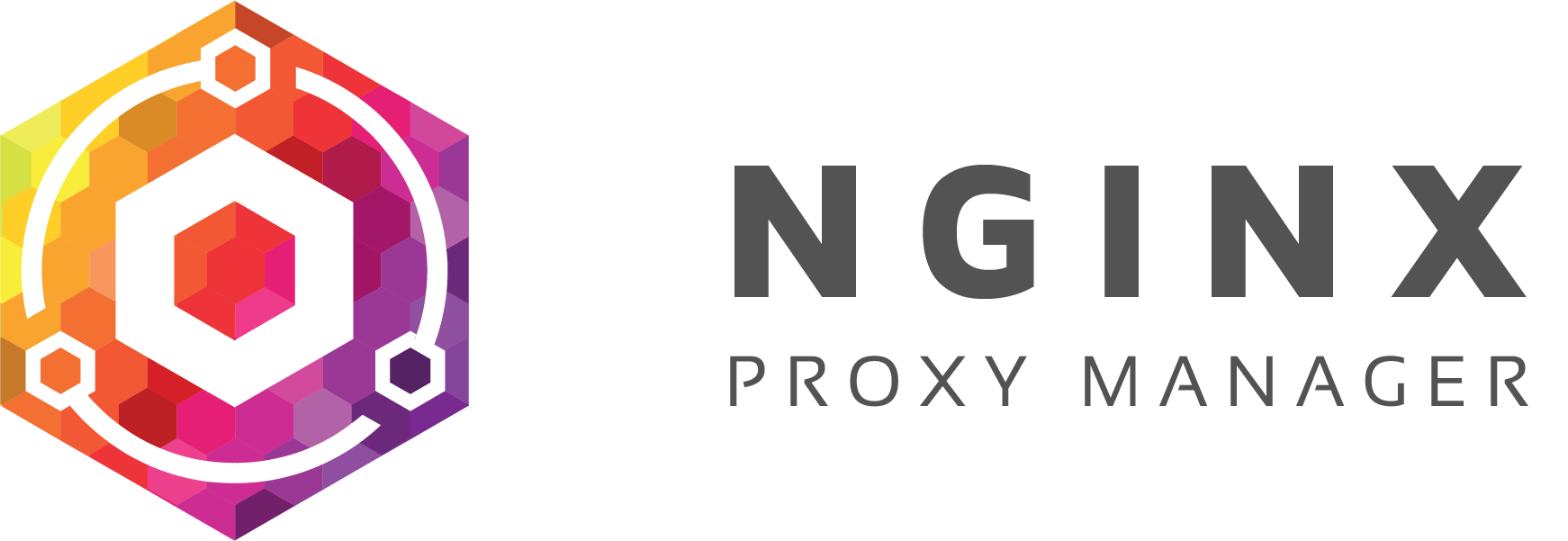 Nginx proxy manager