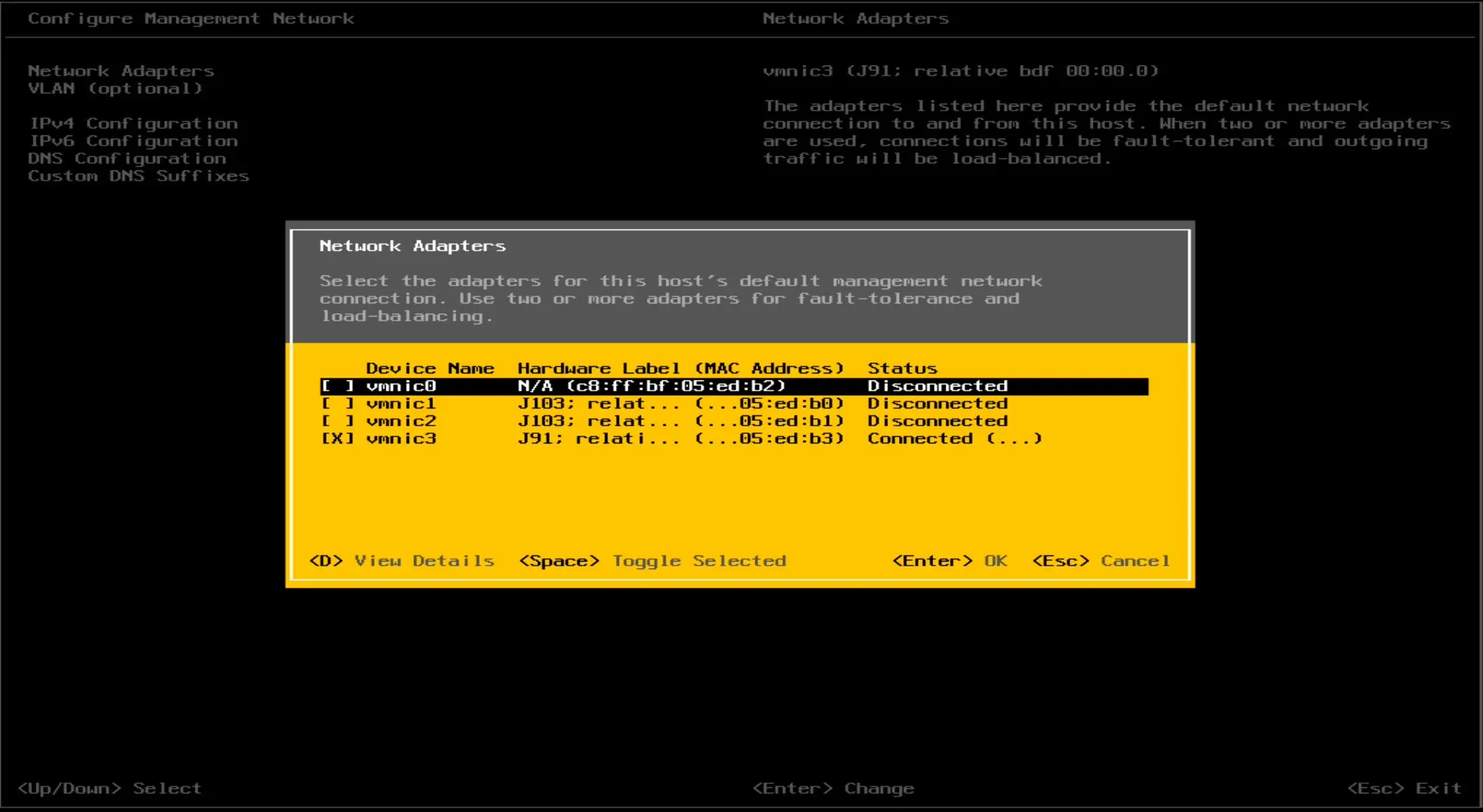 Network connections in vmware vsphere on the aoostar wtr max