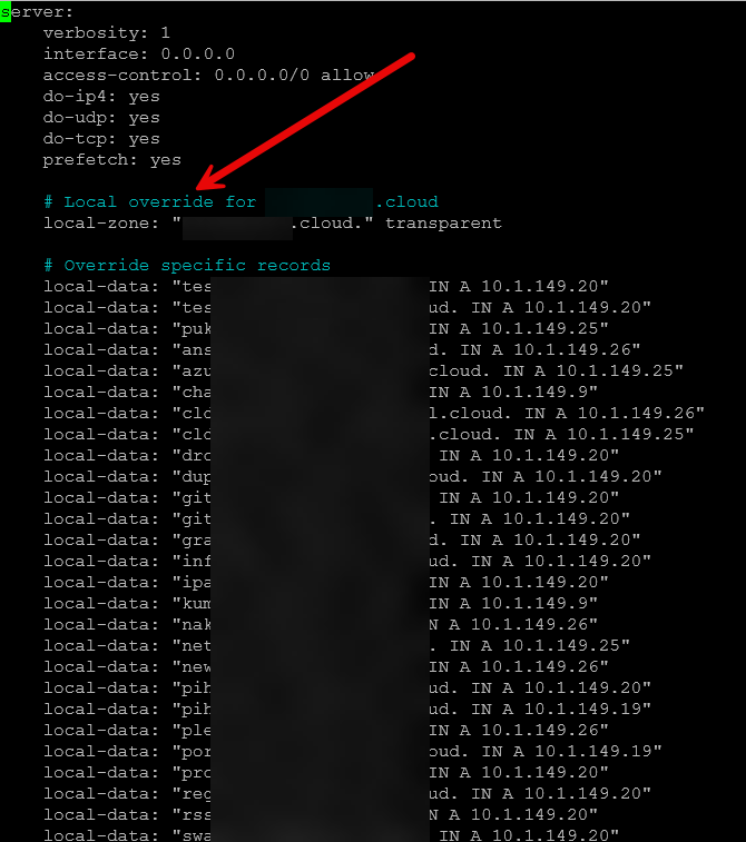 Local override in unbound for public domain