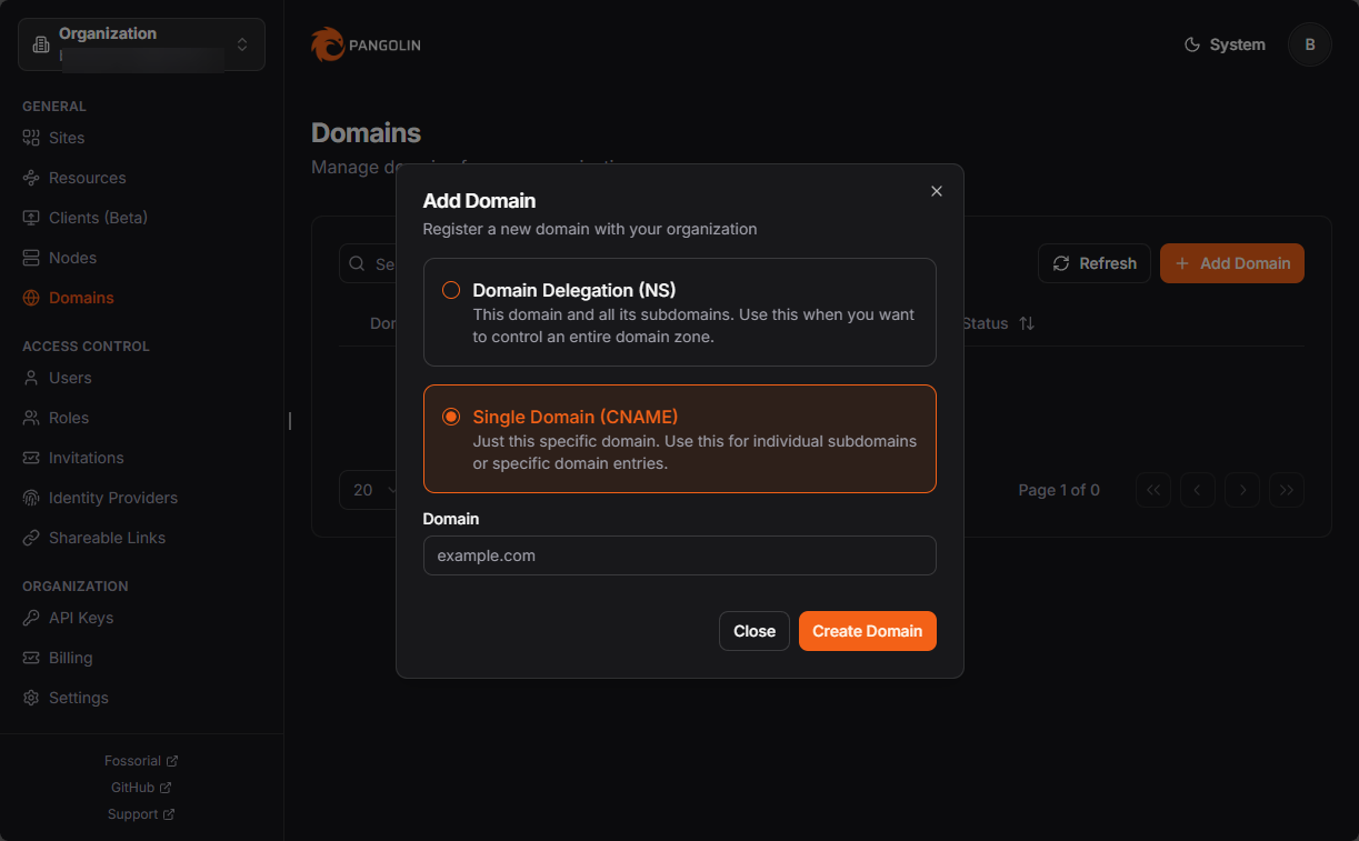 Pangolin domain configuration options
