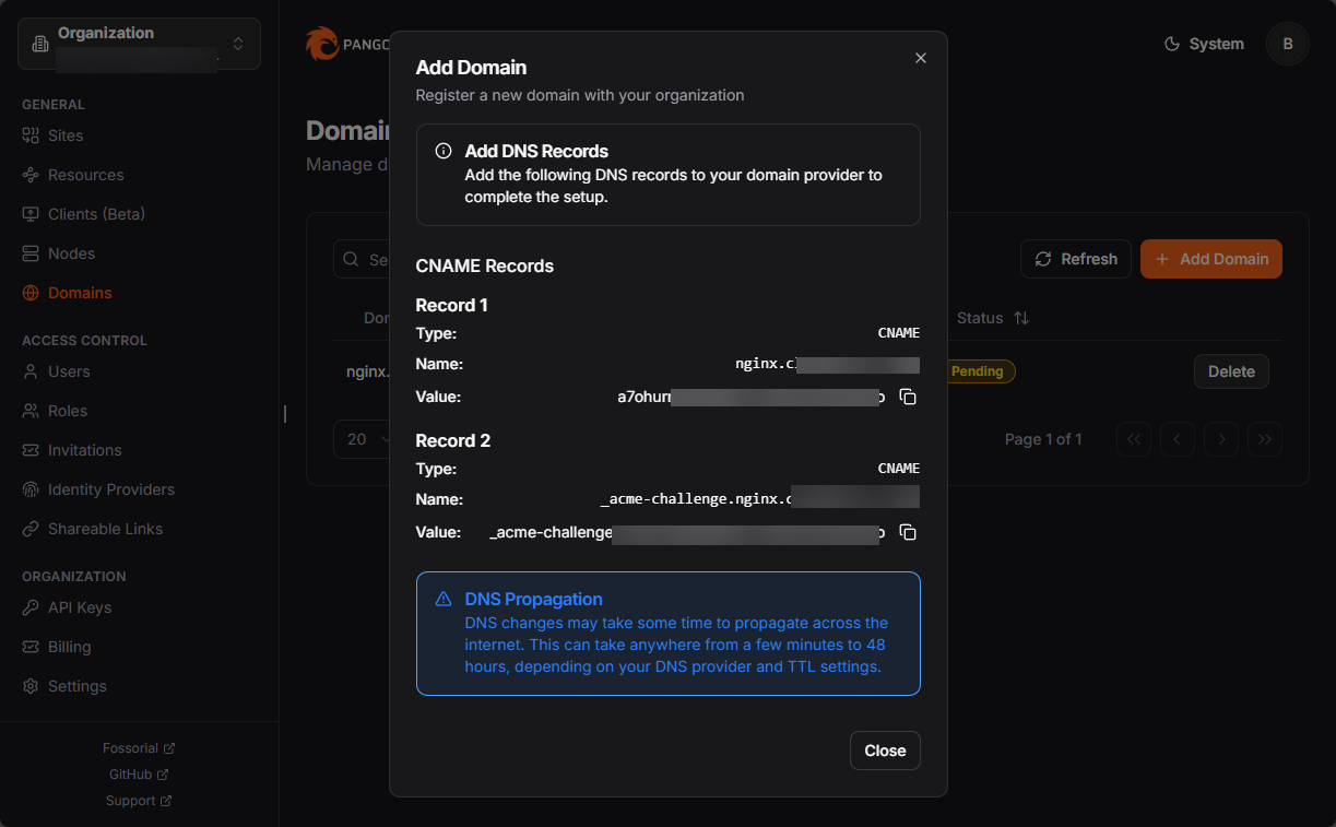 Pangolin will give you the cname records to add