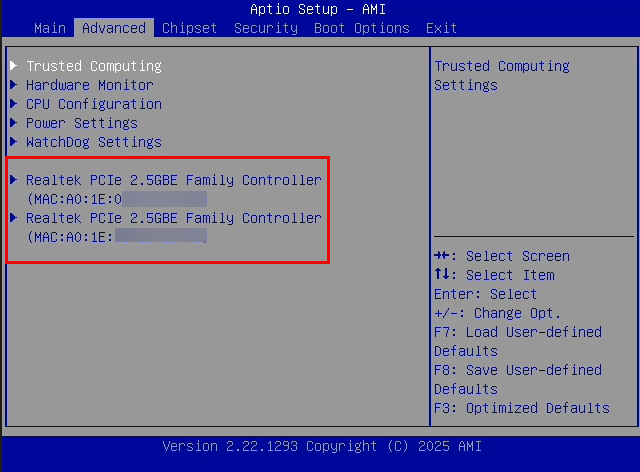 Realtek network adapters