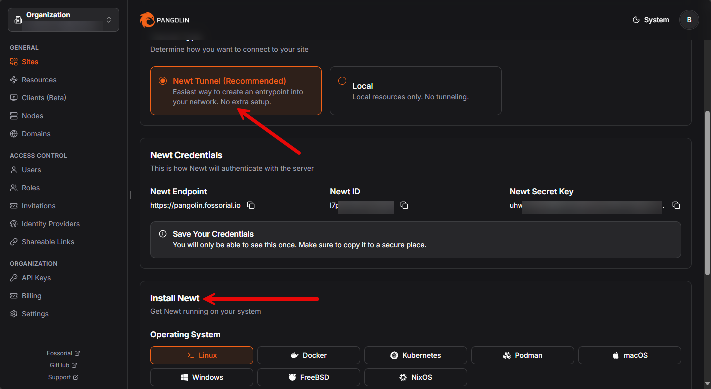 Spinning up a new site and newt