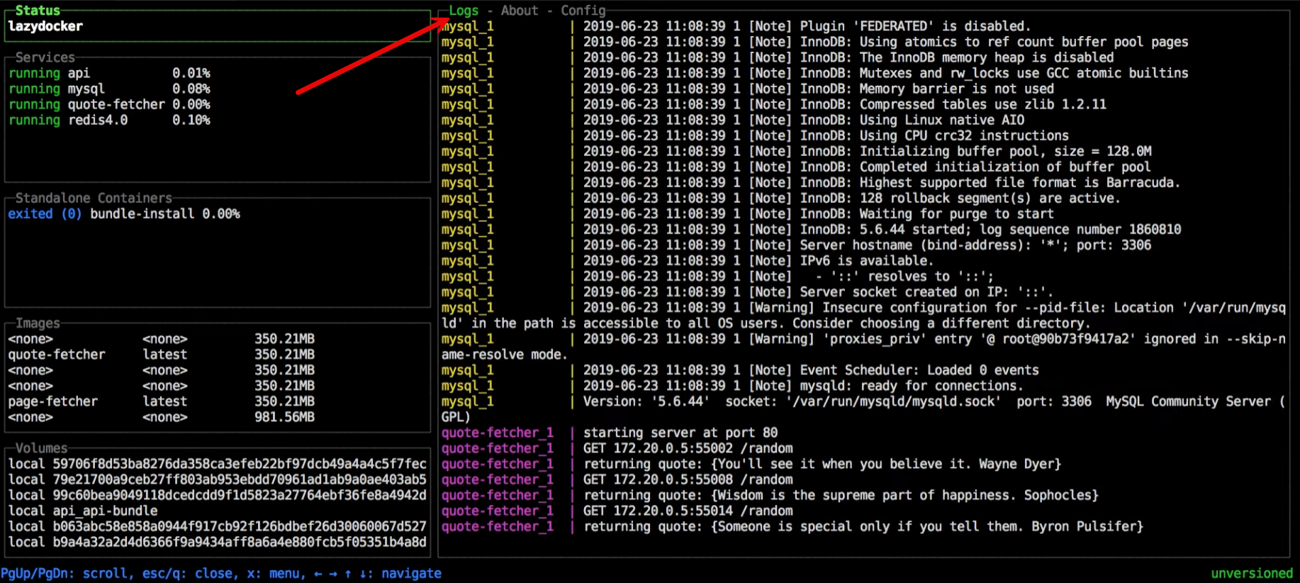 Viewing logs in lazydocker