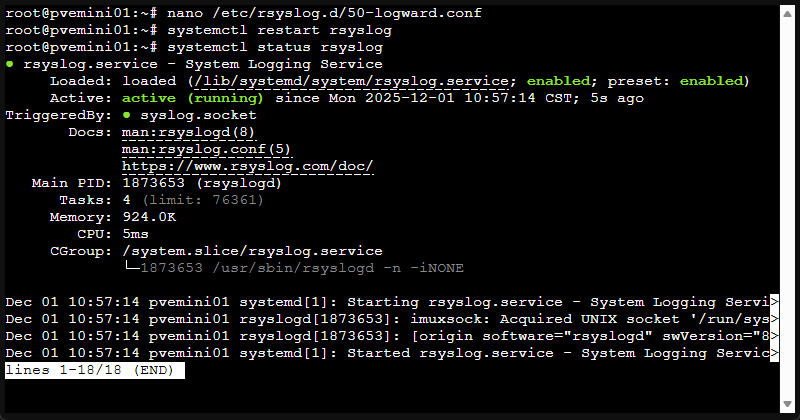 Creating the rsyslog configuration and restarting the service in proxmox