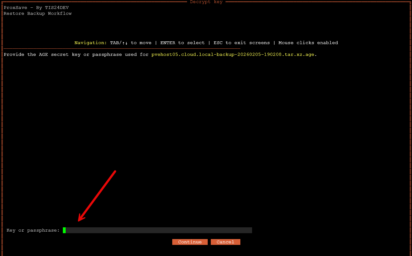 Enter your passphrase you configured for age encryption