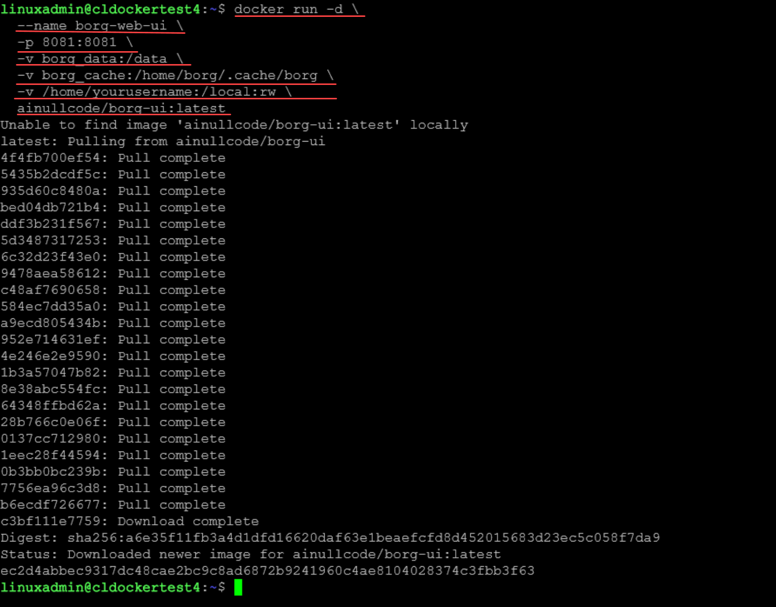 Running the borg ui container using the docker command line