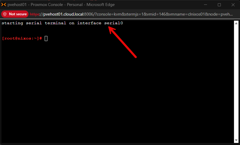Connecting to a nixos virtual machine using the xterm.js console
