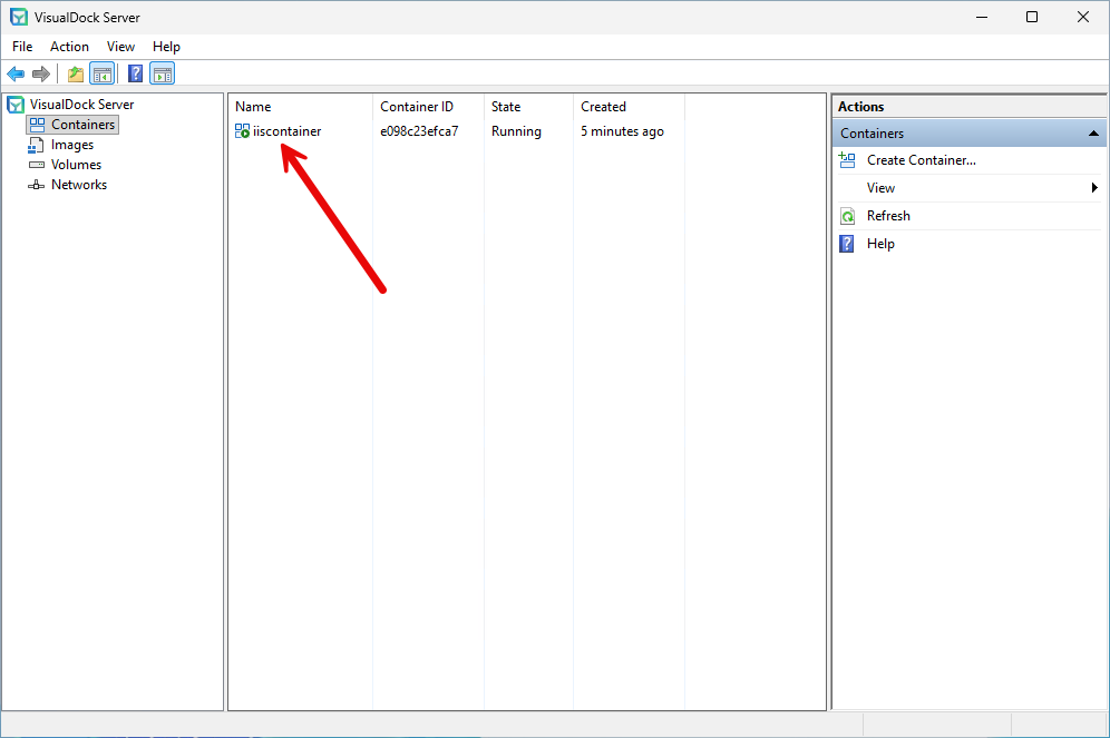 Iis container started and running in visualdock server