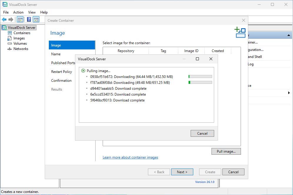 Image begins to pull in visualdock server