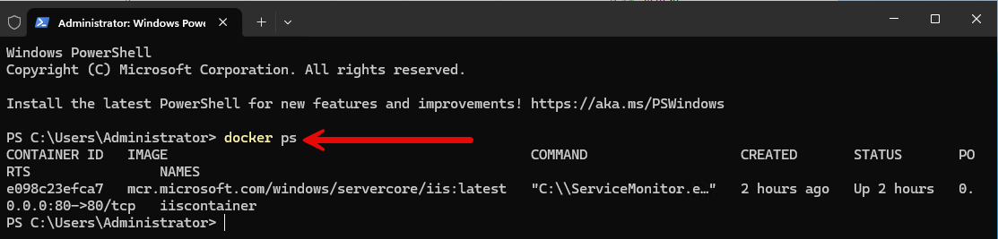 Viewing your containers from the command line