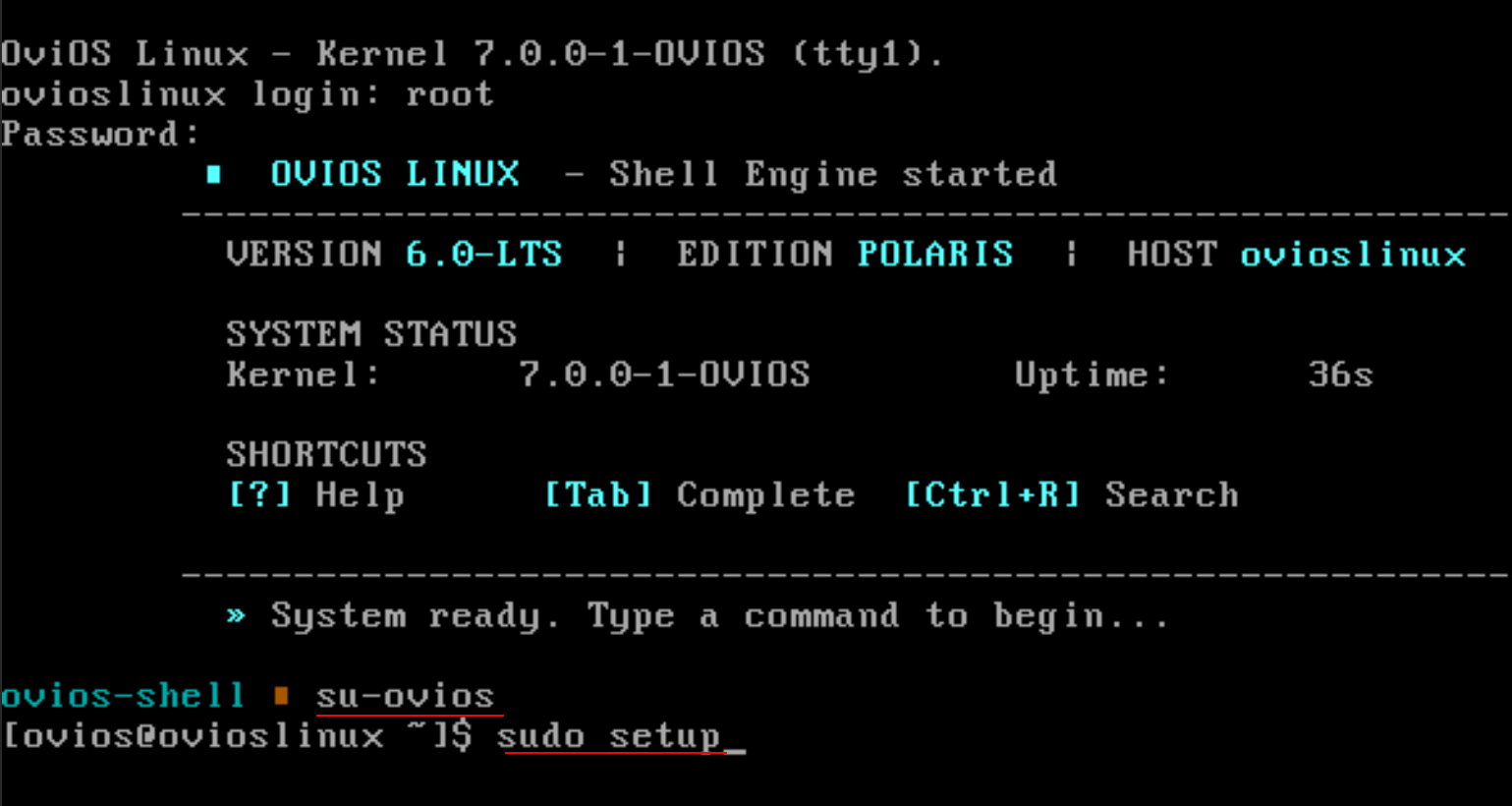 Beginning the ovios setup after logging in