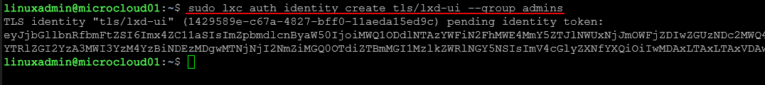 Creating a token for accessing the lxd management console in a browser