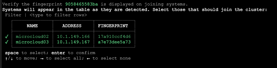 Joining two more nodes to the microcloud cluster