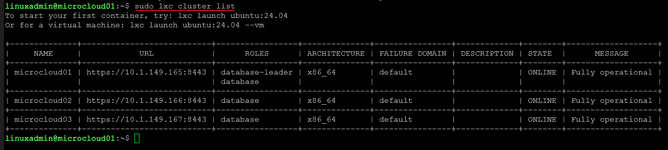 Listing the lxd cluster nodes and management urls
