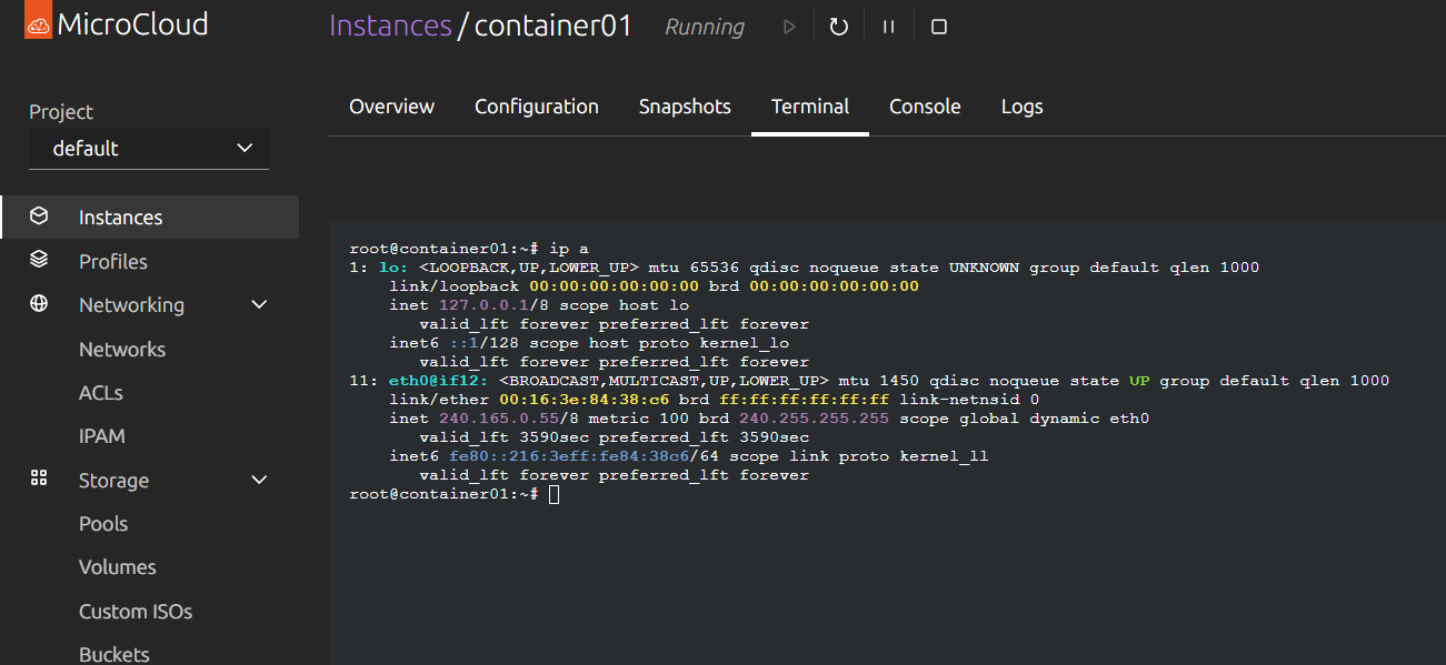 Logged into a new lxc container instance in microcloud