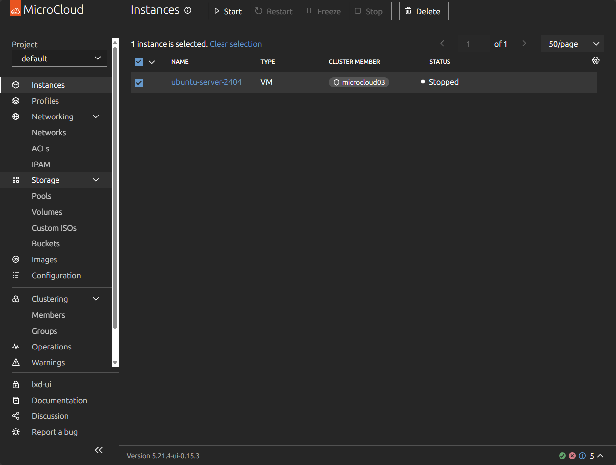 New instance created successfully in microcloud