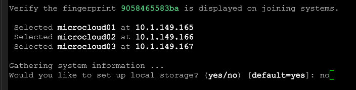 Not setting up local storage as using ceph instead