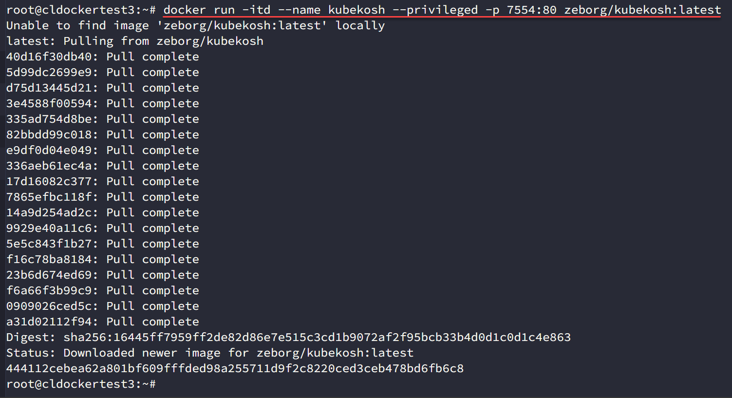 Pulling the kubekosh image in docker