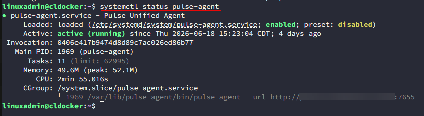 Pulse agent running as a systemd service in flatcar