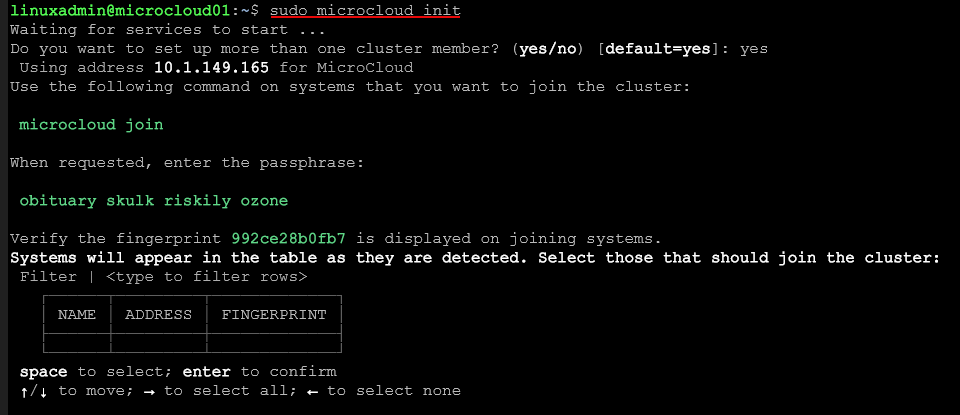 Running the microcloud init command