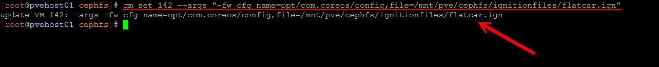 Setting the ignition file on the flatcar virtual machine
