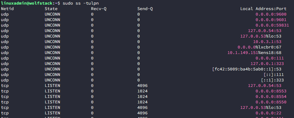 Viewing listening ports on a linux server in the home lab