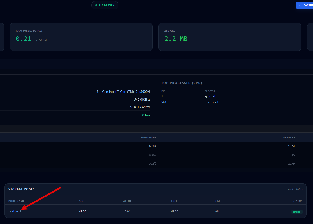 Viewing the new pool in the web interface for ovios