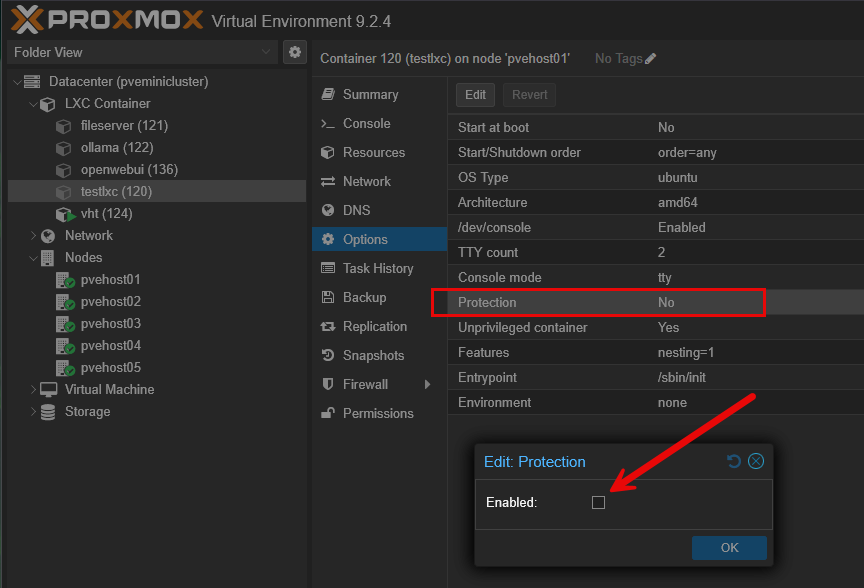 Adding protection to a proxmox lxc container