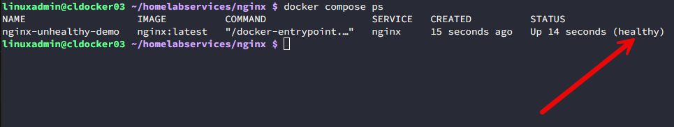 Healthy check on an nginx container