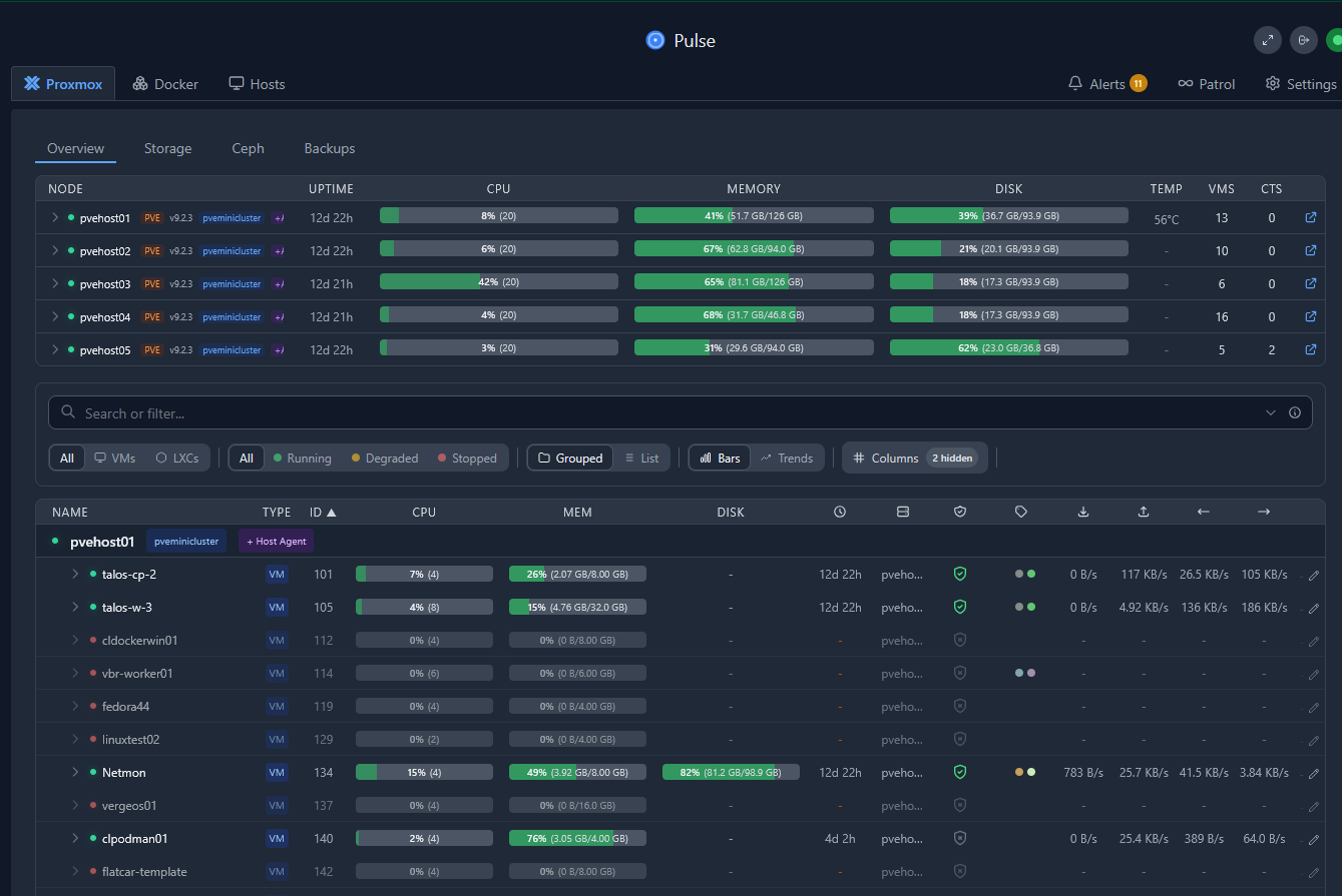 Pulse monitoring in the home lab