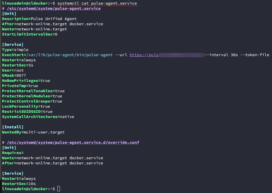 Viewing the systemd service file