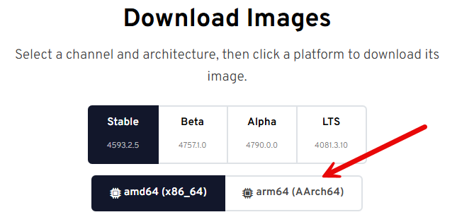 Flatcar linux has an arm64 release
