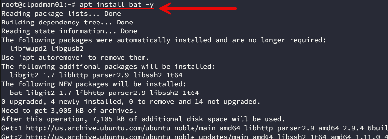 Installing the bat command in ubuntu server