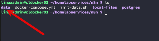 Persistent docker volume data